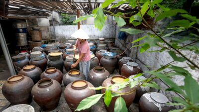 2026: The Year of Family-Friendly Fermentation
