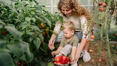 From Garden to Table: Growing and Cooking with Your Family in 2026
