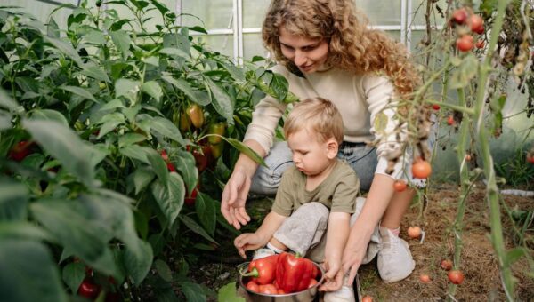 From Garden to Table: Growing and Cooking with Your Family in 2026