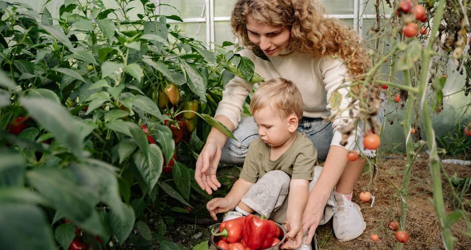 From Garden to Table: Growing and Cooking with Your Family in 2026